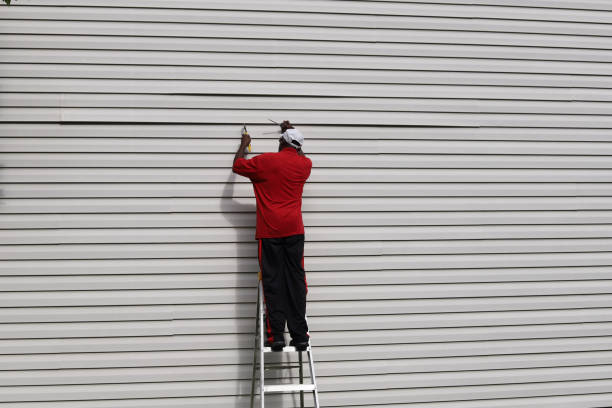 Best Custom Siding Design  in Stonegate, CO