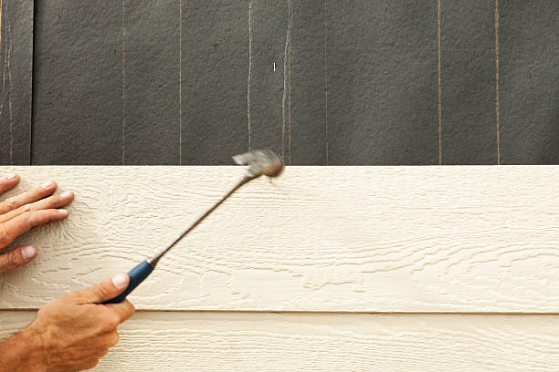 Best Custom Trim and Detailing for Siding  in Stonegate, CO